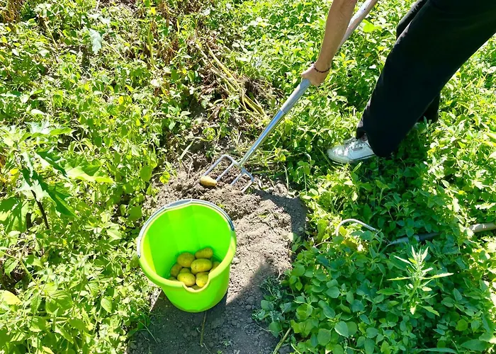 Glamping In Der Orangerie By Interhome Heyda